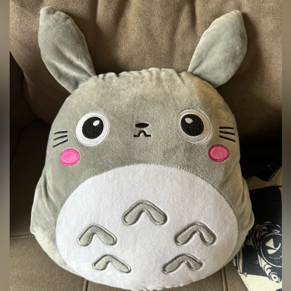 ❌❌❌ SOLD Totoro Pillow and Blanket brand new